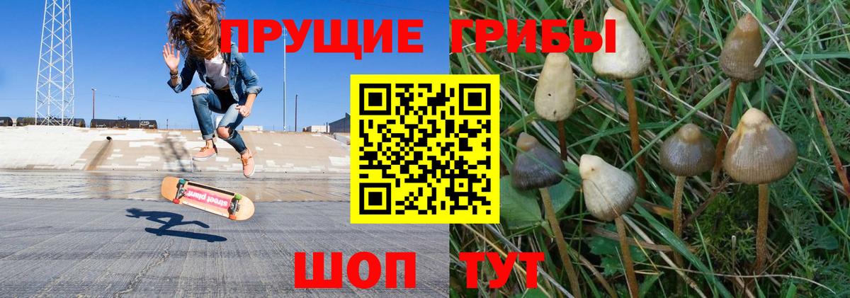 Галлюциногенные грибы ЛСД  Псилоцибиновые грибы Psilocybe  Вход с VPN  Аксай 